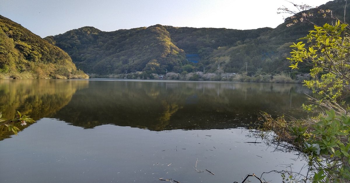 佐田岬半島宇和海県立自然公園の阿弥陀池